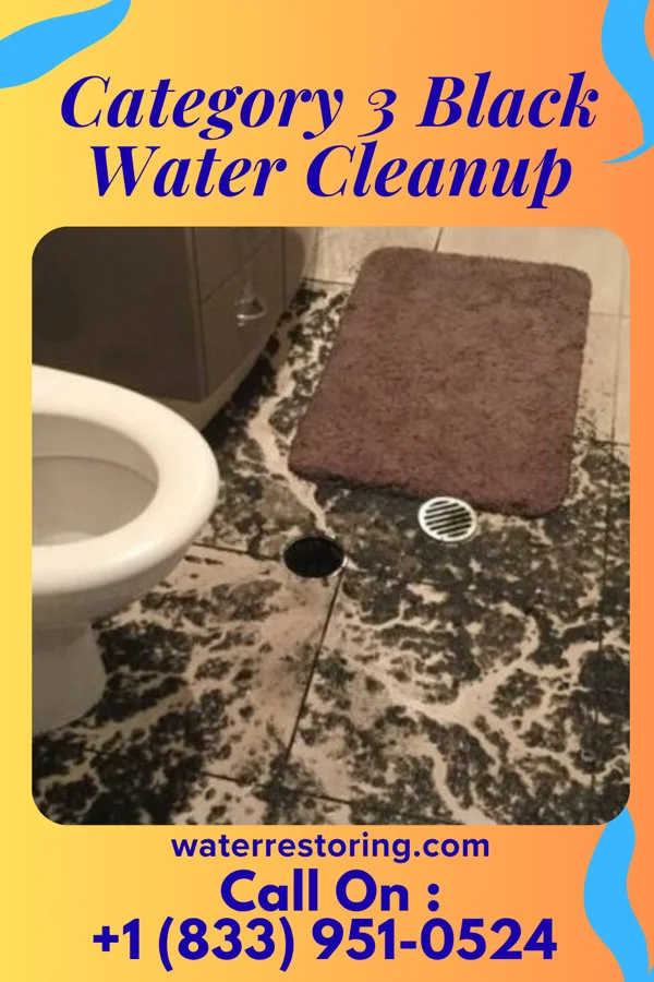 Category 3 Black Water Cleanup in La Crosse, KS