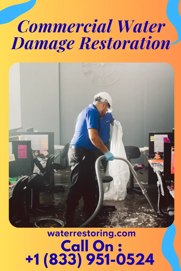 Commercial Water Damage Restoration in La Crosse, KS