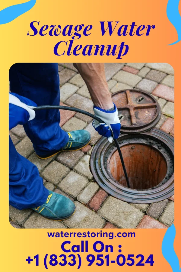 Sewage Water Cleanup in La Crosse, KS