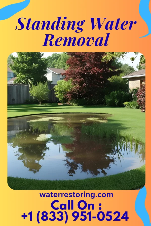 Standing Water Removal in La Crosse, KS